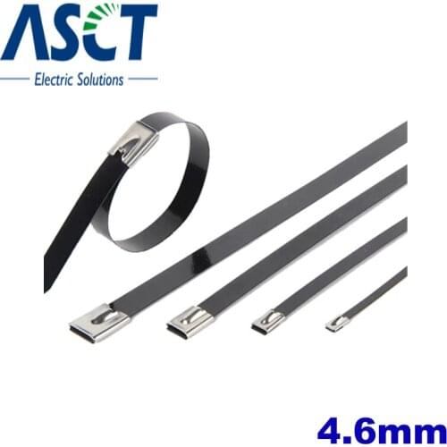 10PCS4.6*100mm 4.6*200mm 4.6*300mm 4.6*400mm 4.6*500mm Ball self-locking stainless steel spray cable tie Multi-Purpose Locking