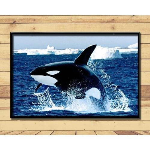 Orca Ferocious Marine Animal (17) Wall Posters Prints Silk Art Painting For Home Wall Bedroom Decor