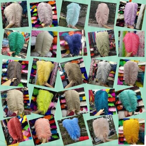 Multicolor Wholesale 200pcs Ostrich Feathers 45-50 cm/18-20 inch Wedding Party Christmas Home Craft Accessories Decoration