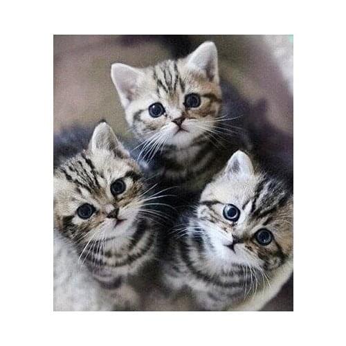 DIY Diamond Painting Three Cats Cross Stitch Full Drill Rhinestone Pasted Painting Home Decor Free Shipping