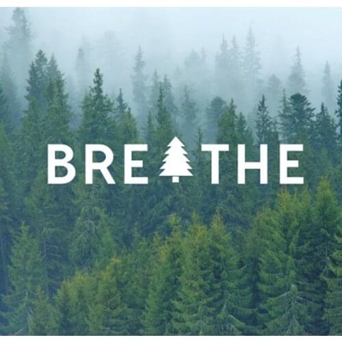 Breathe Tree Vinyl Decal sticker , Just Breathe Quote Decals Vinyl Sticker for Laptop Car Nature Decor