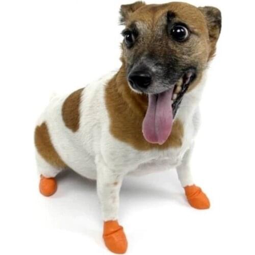 Pawz X Small Small Breed Dog Footwear Cover 12 Pcs Orange 429216804