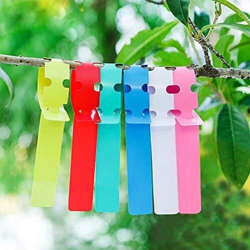 PVC Plastic Plant Marker Plant Lableplant Markers For Garden Ring Plant Tag Waterproof Reusable Etiquetas Colgantes Garden Card