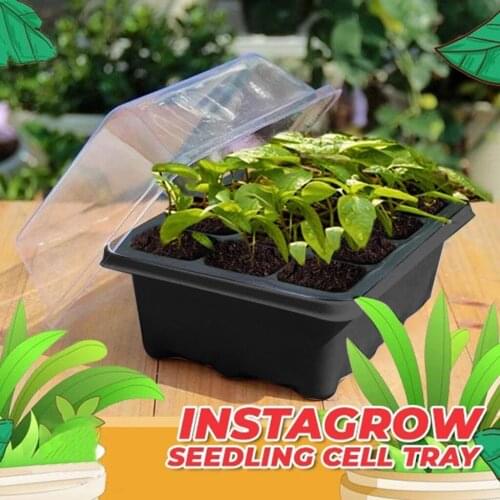 12 Hole Seedling Trays Seed Starter Starter Plant Flower Grow Box Propagation For Gardening Grow Starting Germination Box