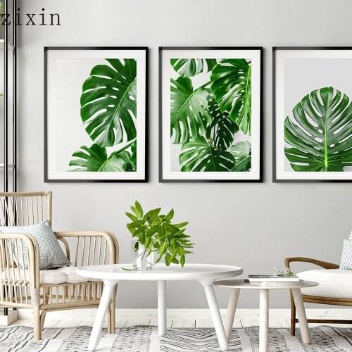 Monstera Tropical Leaf Green Plant Poster Nordic Style Wall Art Canvas Decoration Picture Botanical Print Painting Modern Home