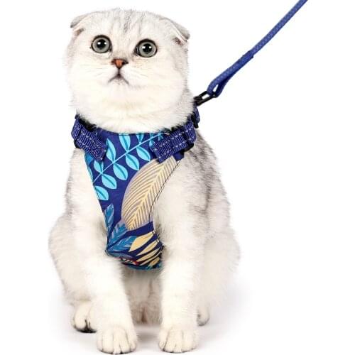 Cat Dog Adjustable Harness Vest Walking Lead Leash for Chihuahua Puppy Collar Polyester Soft Mesh Chest Strap for Dogs Cats Pet