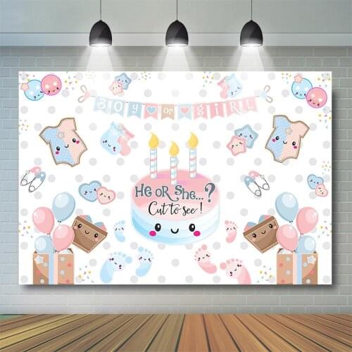 Boy or Girl What it be Backdrop Pink or Blue Gender Reveal Party Decor Newborn Baby Shower Party Supplies