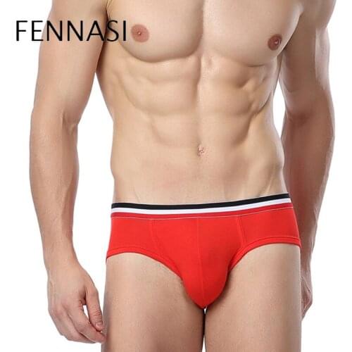 FENNASI Mens Modal Briefs Cotton Underwear Trendy Men Sexy U Convex Breathable Comfortable Low Waist Shorts Cueca Tanga Pants