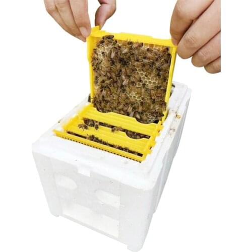 1 set Foam Harvest Hive Box Beekeeping King Box Pollination Box Bee Breeding Foam Box Beekeeping Equipment