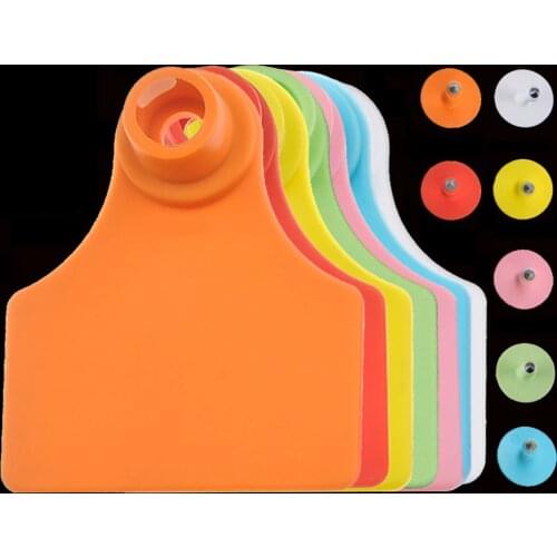 5PCS Pig Sow Ear Tag Plate Without Word Blank Marker Label With Earrings 7 Colors Farm Animal Livestock Identification Card