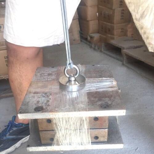 Neodymium Magnet Super Strong Powerful Salvage Hook Fishing Magnetic Circular SCIE999