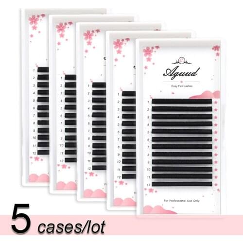 AGUUD 5 Trays Easy Fan Lash Extensions Faux Mink DIY 4d/8d/10d Fans Bloom Eyelashes Extension 0.03/0.05/0.07 Magic Volume Lashes