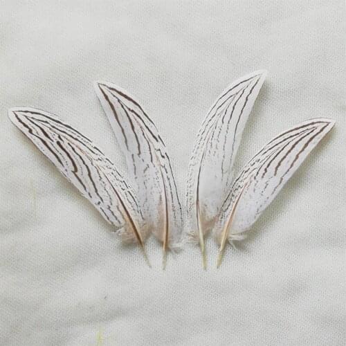 50Pcs/Lot! Natural Plumes,Silver Pheasant Tail Feathers For Crafts Party Decoration Plumas Wedding DIY Clothing Hat Accessories