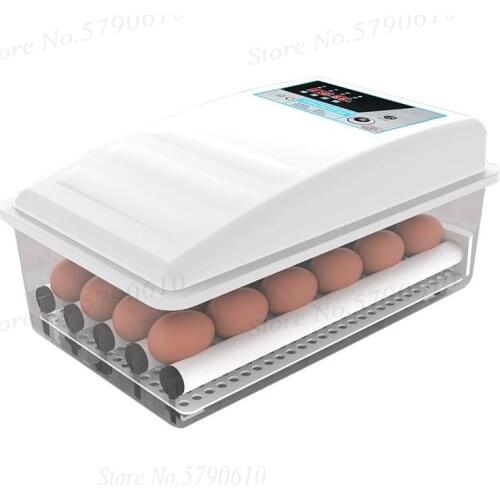 Water bed incubator small household chicken, duck and goose seedling incubator automatic intelligent constant temperature egg bo