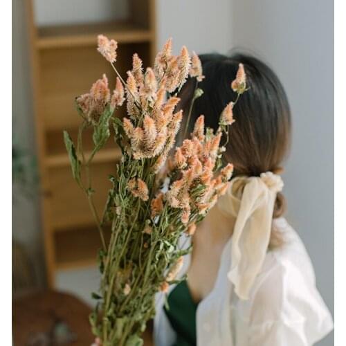 INS Natural Romantic Pink Multi-Head Phoenix Flower Dry Bouquet Real Flower Bedroom Flower Arrangement Home Decoration Shooting