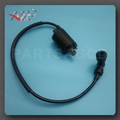 Motorcycle Ignition Coil For Buyang Feishen Linhai 260 260cc 300cc D300 G300 ATV Quad Etc ATV Accessories