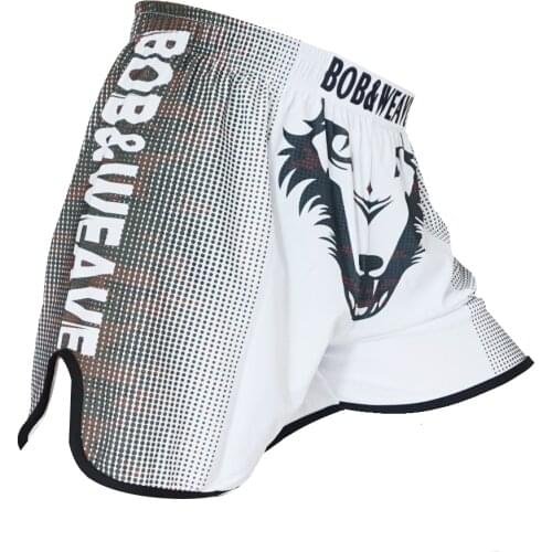 FFITE FIGHTING TECHNIQUES Touring Shorts