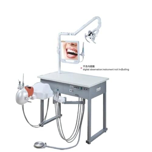 ​A5 dental simulator dental simulation mold system Dental Training prepared model Adjustable replacement for dental materials