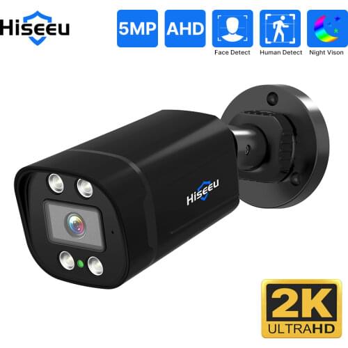 Hiseeu Hidden CCTV Cameras