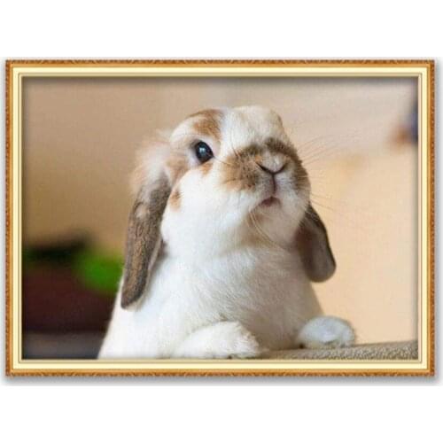 Animal Rabbit DIY Embroidery Cross Stitch 11CT Kits Needlework Craft Cotton Thread Printed Canvas Home Decoration Dropshipping