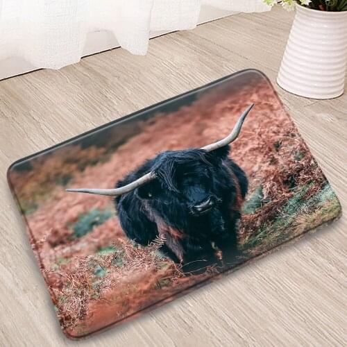 Farm Animals Bathroom Mats Chicken Duck Cattle Sheep horse Doormat Bedroom Kitchen Corridor Flannel Non-Slip Carpets Washable