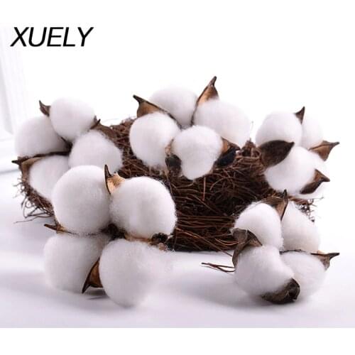 10pcs Cotton head natural dried flower artificial flower cotton home Christmas decor DIY garland wreath flower wall material