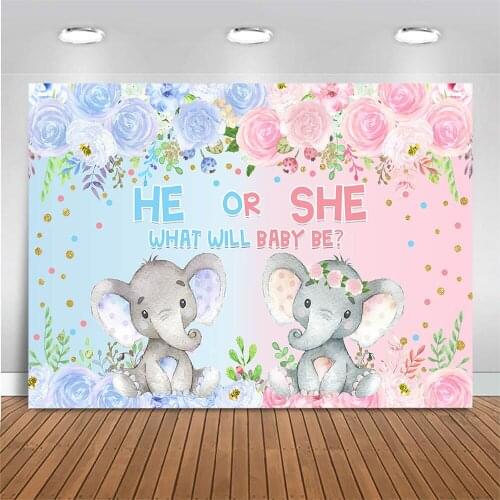 Mocsicka He Or She Baby Shower Backdrop Photography Newborn Gender Reveal Party Background Photo Studio Blue Pink Elephant Rose
