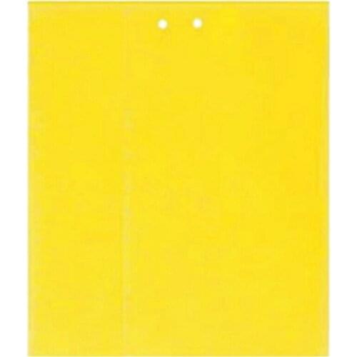 Strong Flies Traps Bugs Sticky Board Catching Aphid Insects Killer Pest Control Whitefly Thrip Glue Sticker