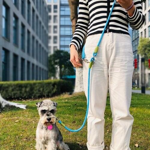 New Dog Leash Running Hands Free Reflective Training Pet Bungee Dog Lead Leash For Medium Small Dogs Strong Leads Pet Leashes