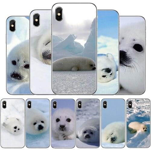 Harp seal Silicone Phone Case For iPhone 11Pro Max 11 XR XS Max X 8 7 6 6S Plus 5 5S SE 2020 Cover