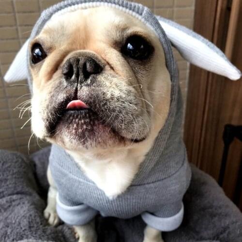 Rabbit Ear Pet Dog Clothes For Small Dogs Coat Winter Dog Hoodie Puppt Pet Clothing For Dogs Costume Pet Outfits Ropa Perro Pug