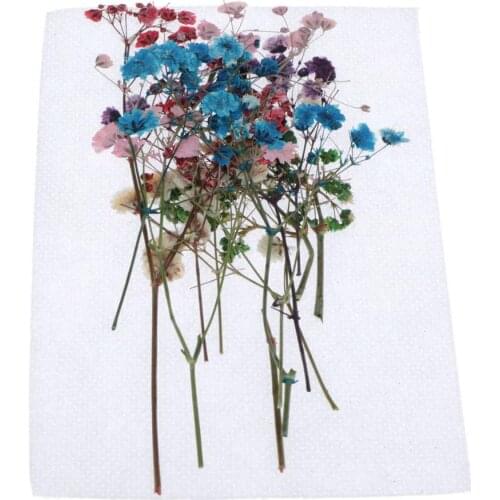 12x Colorful Pressed Dried Flowers Leaves DIY Floral Art Craft Wedding Decor