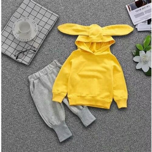Baby clothes hoodies for girls sweatshirt for children set 2 pieses girls hoodies Long Sleeves Winter Spring Autumn set