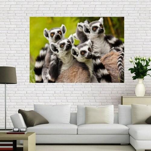 New Arrival Lemur Animal Poster Canvas Fabric Home Decoration Bright Color Print Bedroom Wall Poster Modern Pop A12.2