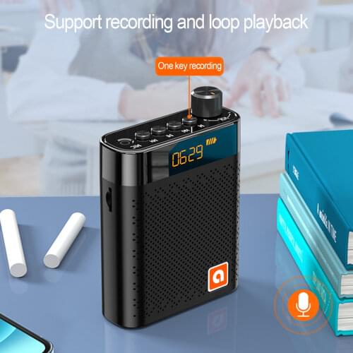 Voice Amplifier Wireless Microphone Headset For Meeting Classroom Microphone Set Home Audio Video Equipments