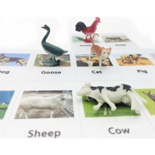 Montessori Toys Animal Match Cards Montessori baby Learning Language Early Educational practical life Toys For Children gift