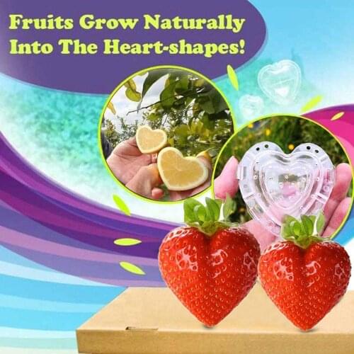 Growth Forming Mold Plastic Fruit Lemon Strawberry Heart-shape Transparent Fruit Growing Shaping Mould For Garden Mould Tools