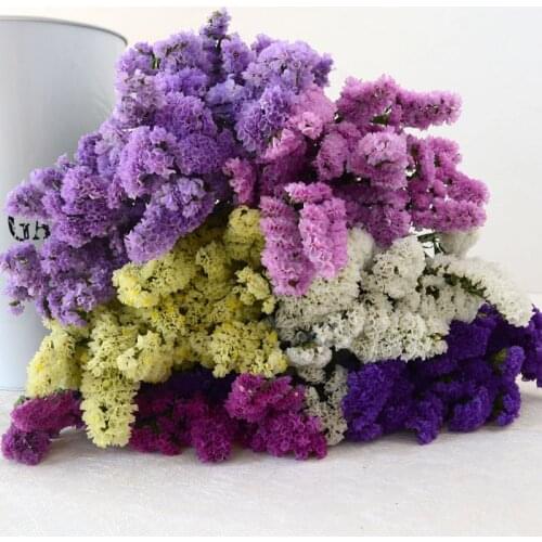 20pcs Mixed color dried forget-me-not flower bunch natural plants christmas wedding decoration flowers