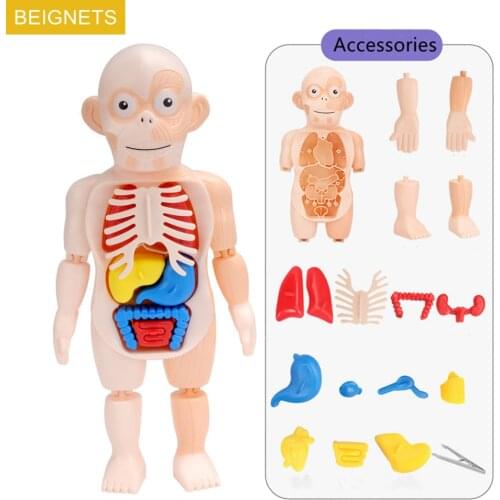 BEIGNETS Puzzles & Puzzles