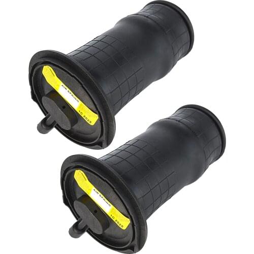 AP03 2 Pcs Rear Air Suspensions For Land Rover Range Rover P38 RKB101460 New