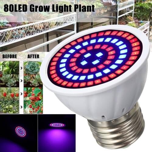 AC 220V E27 Led Plant Grow Light For Grow Box Grow Tent Bonsai 80LED Bulb Hydro Flower Greenhouse Full Spectrum Lamp