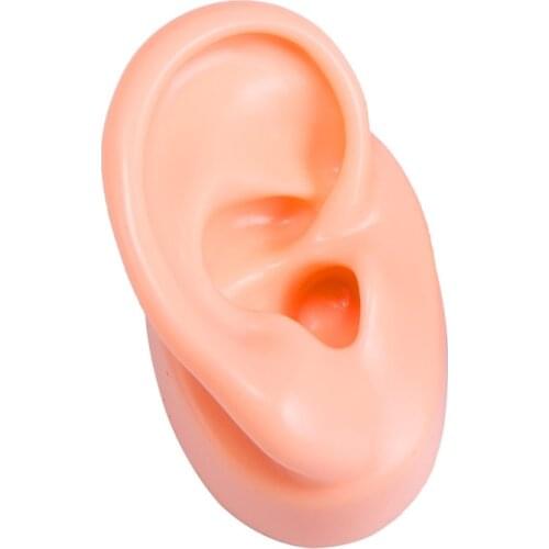 Silicone Ear Model Human Artificial Ear Display for Hearing Aids IEM Earphones Display and Lecturing