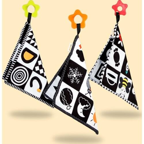 Pylaeus Books For Children