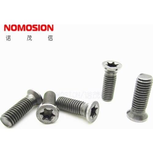 Tool screws M5.0-0.8*13mm 82angle torx - 20 natural colour km5*13