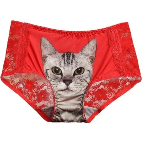 3D Cat Panties Lace Underwear Women Cute Pink Seamless Hygiene Skin Women Briefs Intimates Transparent