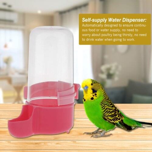 2021 NEW Bird Automatic Water Dispenser Safe Plastic Hanging Bird Supplies Bird Automatic Water Dispenser Safe Plastic Hanging