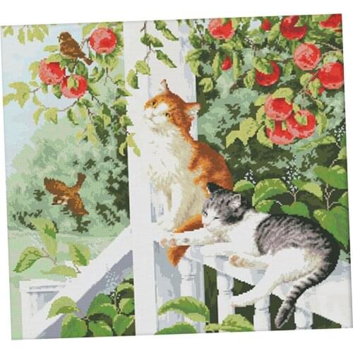 Stamped Cross Stitch Kits Full Range of Embroidery Starter Kits for Kids Adults