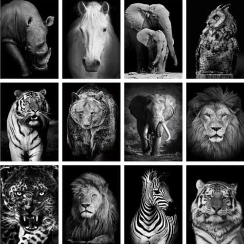 Black White Elephant lion Deer Tiger Leopard, rhinoceros, zebra 5D Diamond Embroidery painting full round drill diy mosaic decor