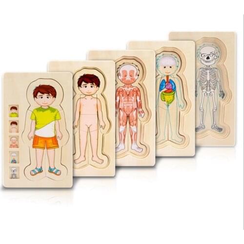 Montessori Toys Children Early Educational Learning Puzzle Wooden Toys Human Body Puzzles Boys Girls Body Structure Kids Toys