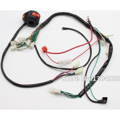 Electrics Wiring Harness & Multi-functional Switch 50cc 70cc 90cc 110cc 125cc ATV Quad Bike Buggy Gokart NEW